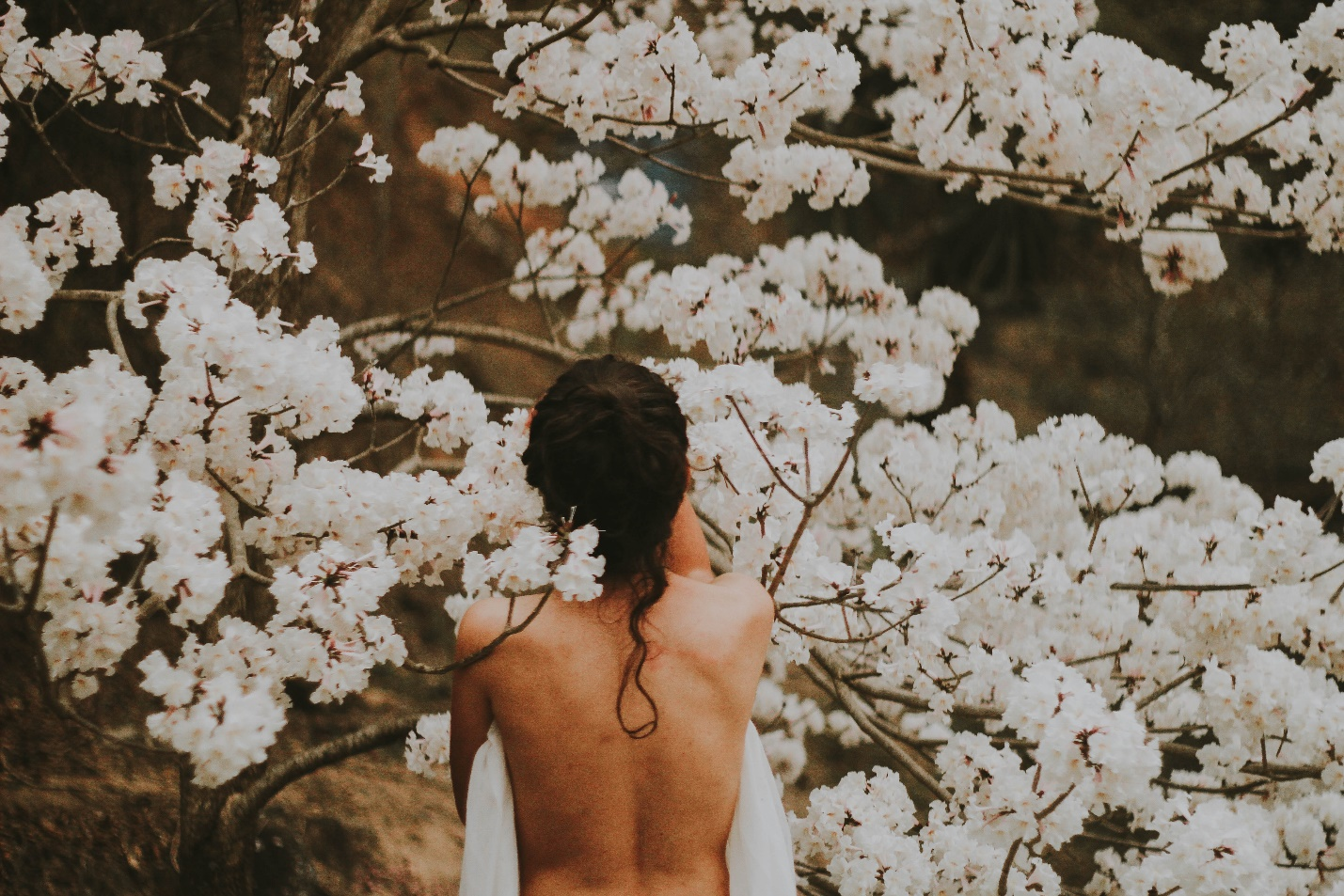  Woman Sitting Next to a Tree With White Flowers